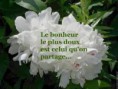 /album/galerie-de-photos-/images-8-jpeg1/