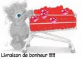 /album/galerie-de-photos-/images-6-jpeg2/